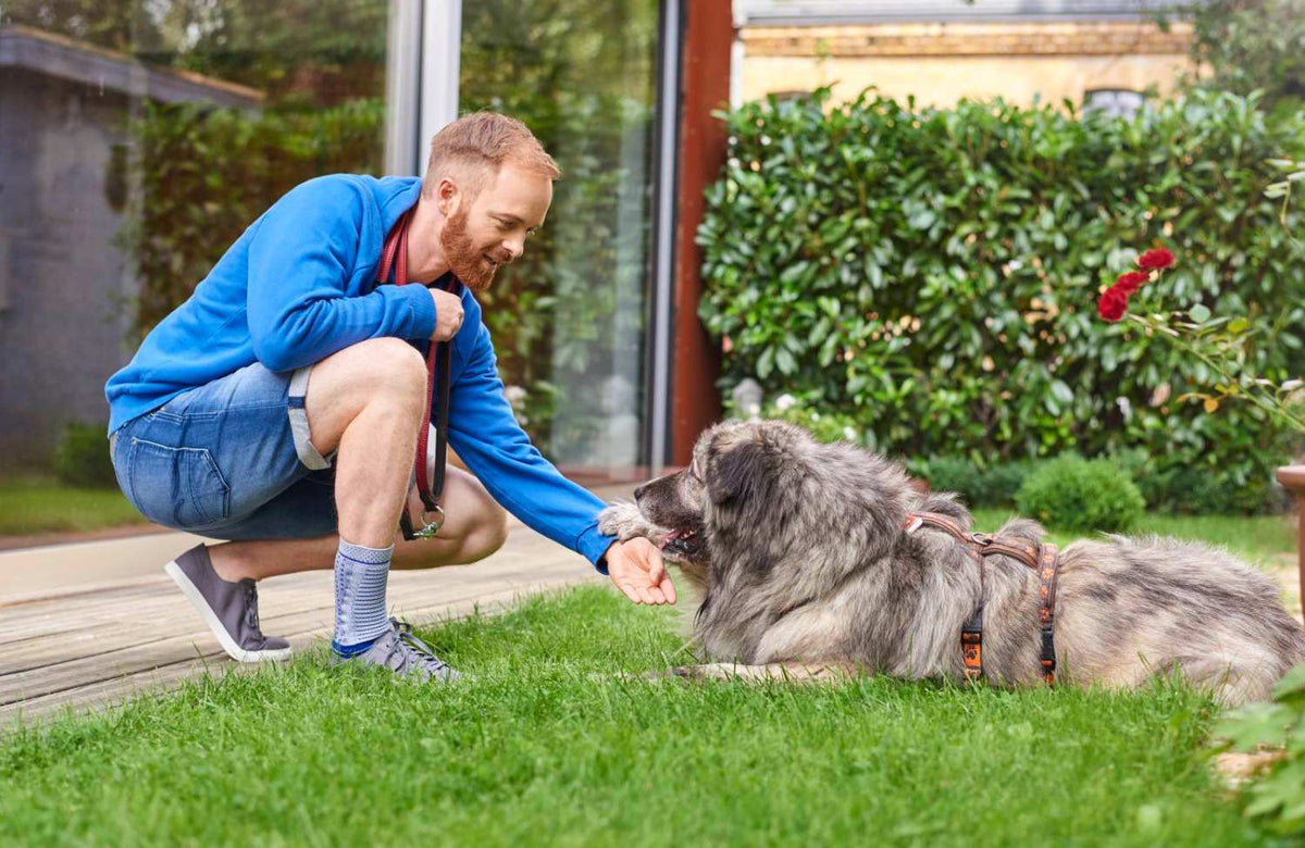 Man playing with his dog in the backyard. He is wearing the AchilloTrain Ankle Brace to help manage Achilles ankle pain.