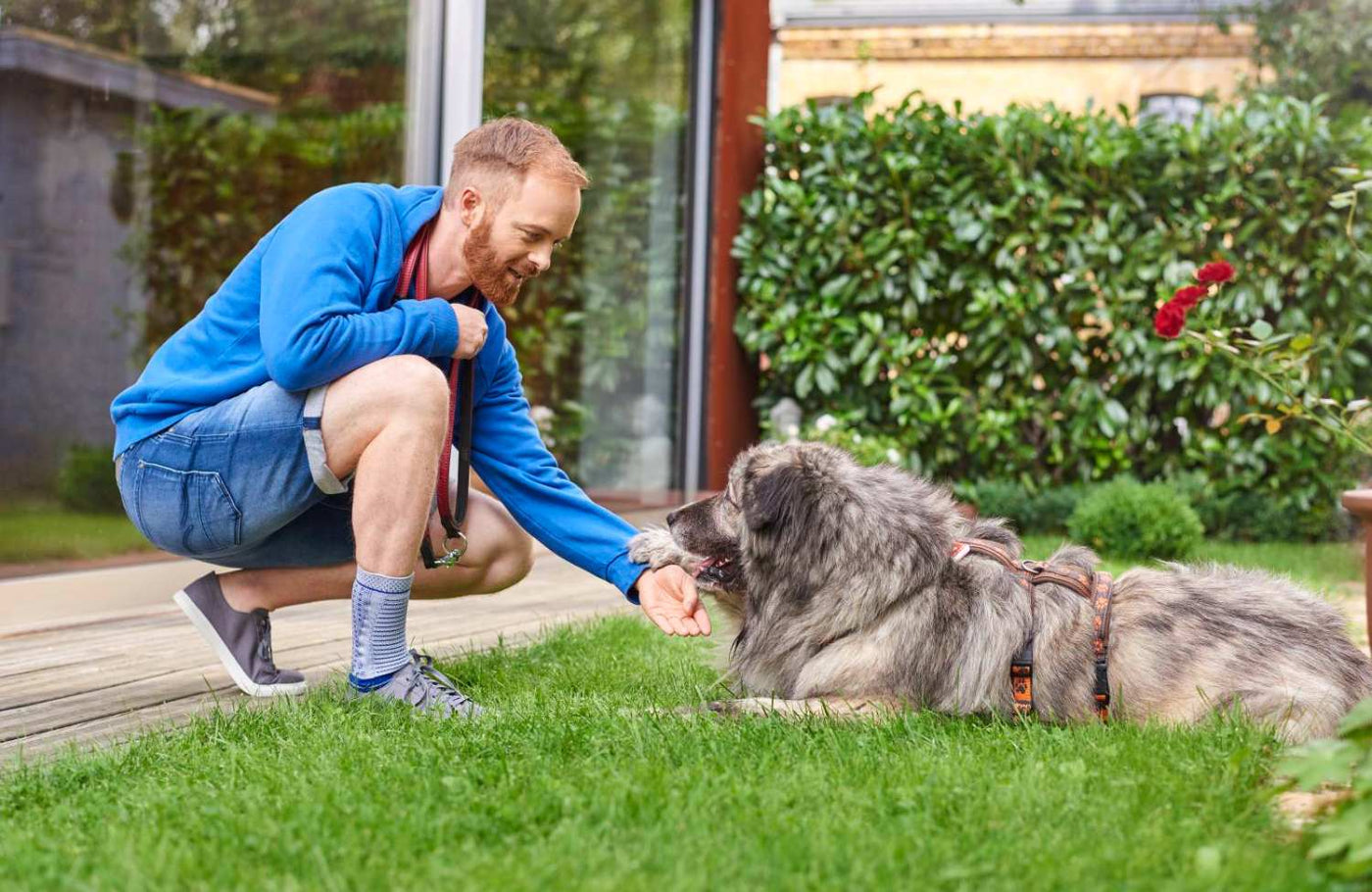 Man playing with his dog in the backyard. He is wearing the AchilloTrain Ankle Brace to help manage Achilles ankle pain.