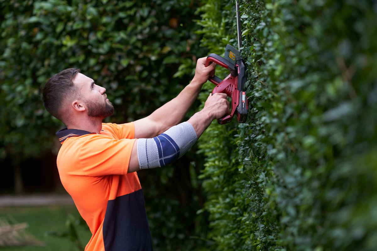 Man trimming a hedge. He's wearing Bauerfeind's EpiTrain Elbow Brace to avoid Gardener's Elbow